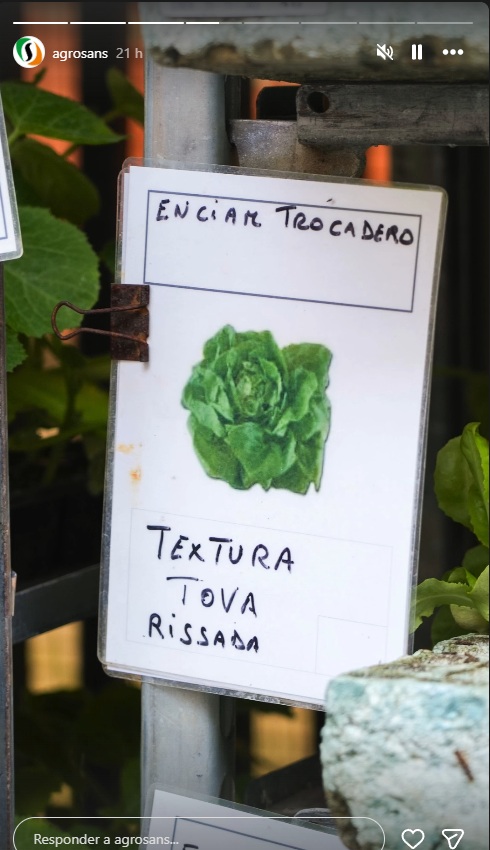 AGROSANS