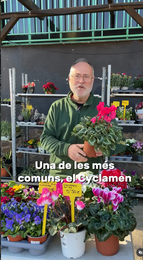 AGRICALDES